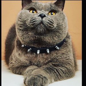🌈 HOST PICK NWT PET COLLAR PUNK METAL SPIKE GOTH PUNK DOG CAT